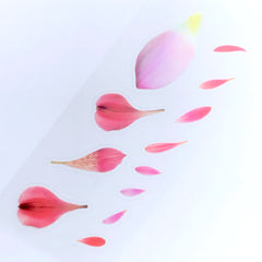 Long Petal Stickers | Flower Clear Film | Floral Embellishments | Resin Inclusions | UV Resin Craft Supplies | Scrapbooking