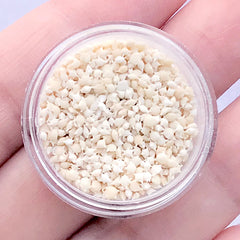 HIGH QUALITY Star Sands from Okinawa Japan | Star Shaped Sands | Nature Beach Sand | Resin Inclusions | Kawaii Resin Art Supplies (2 grams / Small Size)