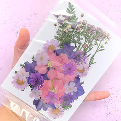 Pressed Natural Real Flower in Purple Color | Assorted Dried Daisy Flower Baby's Breath Consolida | Herbarium Sheet | Floral Decorations