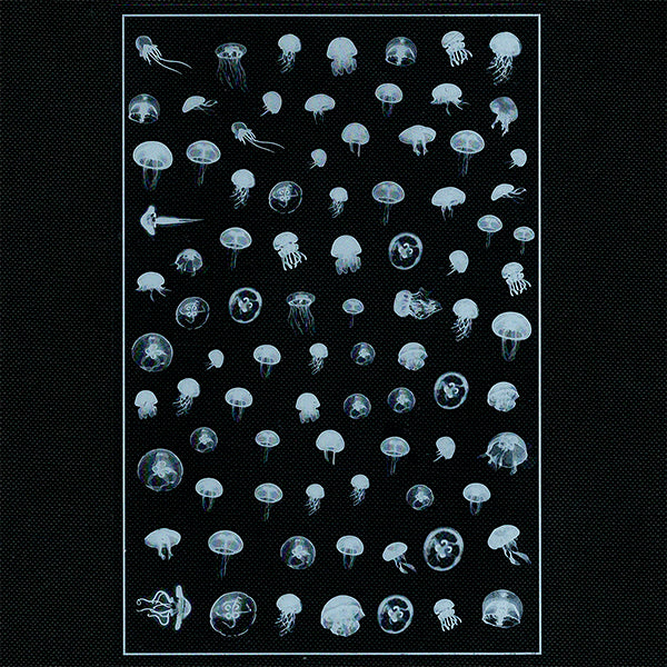 White Jellyfish Clear Film Sheet for Resin Jewelry DIY | Sea Jelly Embellishment for Resin Crafts | Marine Life Resin Inclusions