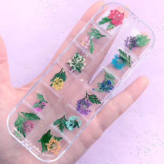 Dried Flower Assortment | Small Queen Anne Lace and Leaf | Wild Carrot Floral Embellishments for Resin Art (1 Box of 12 Colors)