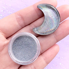 Silver Holographic Powder | Hologram Pigment Powder | Rainbow Glitter Dust | Resin Coloring | Nail Designs (1 gram)