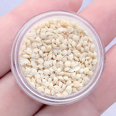 Big Star Sands from Japan | HIGH QUALITY Okinawa Sand | Star Shaped Beach Sands | Natural Sands | Resin Inclusion | Resin Supplies (2 grams / Large Size)