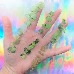 Faux Pressed Leaves Sticker | Green Leaf Resin Inclusions | Floral Embellishments for Resin Art
