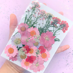 Assorted Pressed Real Natural Flower in Pink Red Color | Dried Baby's Breath Consolida Daisy Flower Assortment | Herbarium Sheet