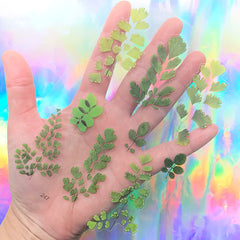 Pressed Leaves Sticker | Floral Resin Inclusions | Green Leaf Embellishments for Resin Craft