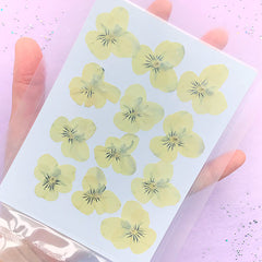 Pressed Dried Violet Flower | Herbarium Inclusions for Resin Art | Scrapbooking Supplies (12 pcs / Yellow)