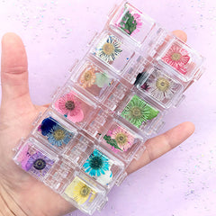 Pressed Real Dried Flower Assortment | Hydrangea Small Daisy Flower | Floral Embellishments for Resin Craft | Nail Art Decoration