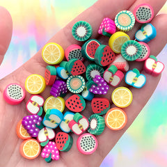 Assorted Miniature Fruit Polymer Clay Slices (Big & Thick) | Resin Shaker Bits | Fake Mini Food Craft Supplies (10 grams)