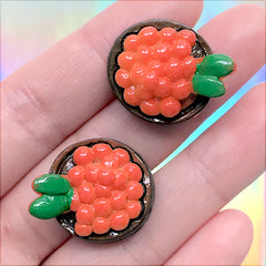 Nigirizushi Cabochons | Japanese Sushi Embellishment | Decoden Pieces | Doll Food Supplies (2 pcs / 21mm x 24mm)