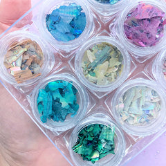 Iridescent Abalone Seashell Flakes | Aura Sea Shell Assortment | Holographic Nature Seashell | Resin Art Supplies | Nail Deco (Set of 12 AB Rainbow Colors)