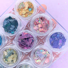 Iridescent Abalone Seashell Flakes | Aura Sea Shell Assortment | Holographic Nature Seashell | Resin Art Supplies | Nail Deco (Set of 12 AB Rainbow Colors)