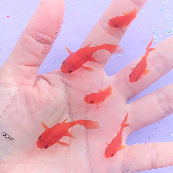 Koi Clear Film Sheet for Resin Art | Nishikigoi Goldfish Resin Inclusions | Resin Koi Pond Making | Carp Fish Embellishment