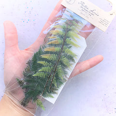 Pressed Eagle Fern Leaves Stickers | Realistic Leaf Embellishments for Herbarium | Resin Inclusions | Scrapbook Supplies (20 pcs)