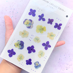 Pressed Violet Pansy Stickers | Realistic Floral Embellishments | Herbarium Supplies | Resin Inclusions | Flower Sticker