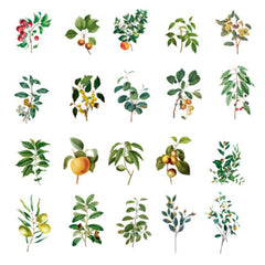 Pressed Leaves with Fruit Stickers | Realistic Leaf Embellishments | Herbarium Supplies | Resin Inclusions | Scrapbook Craft (40 pcs)