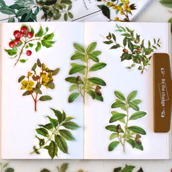 Pressed Leaves with Fruit Stickers | Realistic Leaf Embellishments | Herbarium Supplies | Resin Inclusions | Scrapbook Craft (40 pcs)