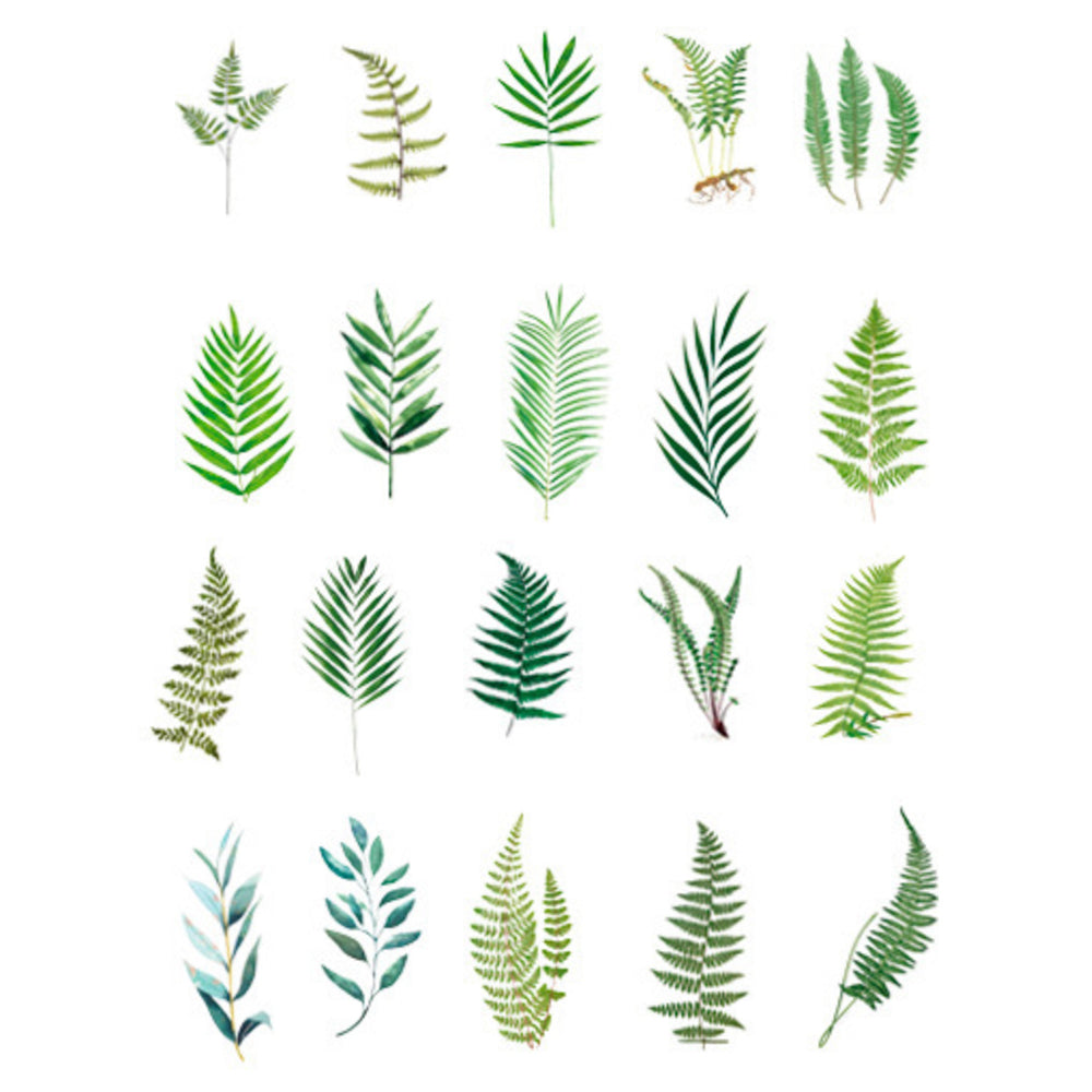Pinnatisect Leaves Stickers | Realistic Pressed Leaf Embellishments for Resin Crafts | Herbarium Sticker | Scrapbooking Supplies (40 pcs)