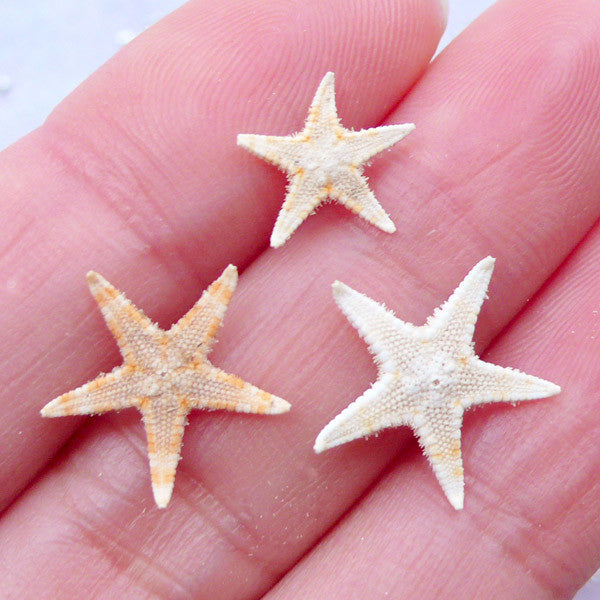 90 Pcs SMALL STARFISH Star Sea Shell Beach CRAFT Decoration 1 1/4 1 1/2 