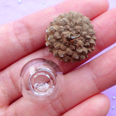 Glass Orb with Natural Acorn Cap | 18mm Glass Globe | Miniature Glass Ball | Glass Bubble Pendant | Terrarium Jewelry Supplies  (1 Set)