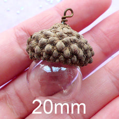 Glass Ball with Natural Acorn Cover | 20mm Glass Bubble | Small Glass Globe Charm | Glass Orb Pendant | Terrarium Jewelry Findings (1 Set)