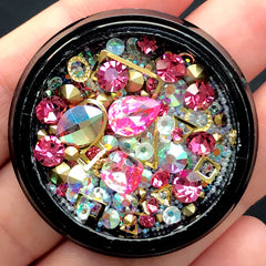 Bling Bling Rhinestones Metal Accents Micro Beads Glass Gems Mix | Shaker Charm Making | Memory Locket DIY (Pink & AB Clear)
