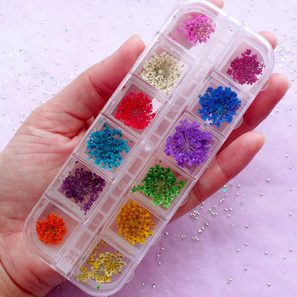Tiny dried deals flowers for jewelry