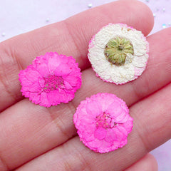Magenta Dried Flowers | Tiny Pressed Flower | Resin Cabochon Making (3pcs)