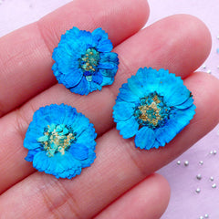 Teal Dried Flowers | Blue Green Mini Pressed Flower | Resin Floral Cabochon DIY (3pcs)