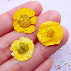 Yellow Pressed Flower | Little Dried Flowers | Resin Craft Supplies (3pcs)