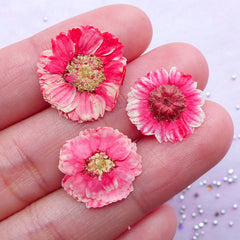 Watermelon Pink Pressed Flower | Small Dried Flowers | Resin Craft Supply (3pcs)