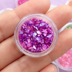 Iridescent Seashell Flake Assortment | Sea Shell Flakes | Resin Inclusions | Filling Materials for Resin Craft (12 Colors)