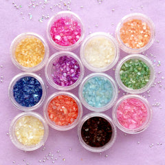 Iridescent Seashell Flake Assortment | Sea Shell Flakes | Resin Inclusions | Filling Materials for Resin Craft (12 Colors)
