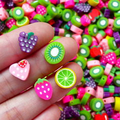 CLEARANCE Miniature Fruit Polymer Clay Slice Mix (10pcs by Random / 10mm) Kawaii Fimo Jewelry Dollhouse Food Charms Chunky Jewelry Making FCAB074