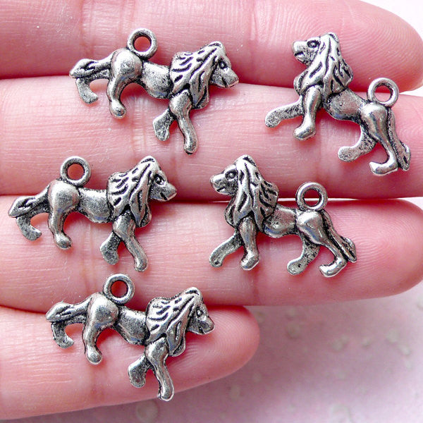 Charms lion 2025