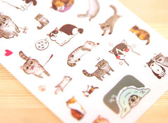 Transparent Cat Sticker (6 Sheets) Cute Animal Kitty Kitten Scrapbooking Journal Diary Decoration Gift Packaging Card Making Home Decor S291