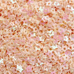 CLEARANCE Hollow Star Sequin Confetti Star Confetti Micro Star Fake Topping Star Glitter Star Sprinkle (AB Cream Beige / 3.5mm / 3g) Card Deco SPK75