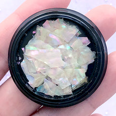 Iridescent Nature Abalone Shell Flakes | Aura Seashell Embellishments | Holographic Resin Inclusions | Resin Craft Supplies (AB White)