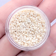 HIGH QUALITY Star Sands from Okinawa Japan | Star Shaped Sands | Nature Beach Sand | Resin Inclusions | Kawaii Resin Art Supplies (2 grams / Small Size)