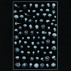 White Jellyfish Clear Film Sheet for Resin Jewelry DIY | Sea Jelly Embellishment for Resin Crafts | Marine Life Resin Inclusions