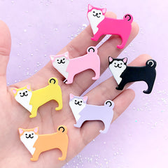 Shiba Inu Cabochon Assortment | Akita Ken Embellishment | Kawaii Resin Flatback | Decoden Supplies (6 pcs / Assorted Mix / 37mm x 25mm)