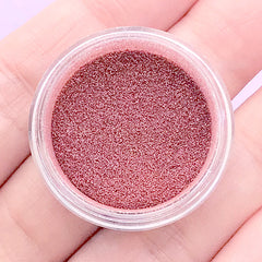 Pink Hologram Pigment Powder | Holographic Glitter Dust | Rainbow Colour | Kawaii Resin Paint | Nail Decoration (1 gram)