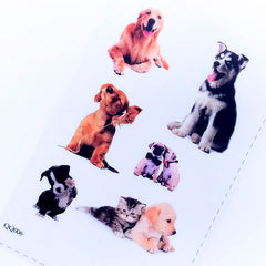Dog Photo Clear Film Sheet for UV Resin Art | Pet Embellishments | Filling Materials for Resin | Pet Jewelry DIY | Resin Inclusion Supplies