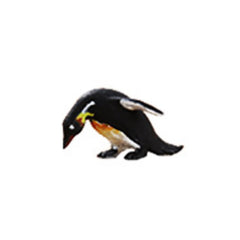 Miniature Animal Resin Inclusion | 3D Penguin Figurine | Diorama Resin World DIY | Resin Art Supplies (1 piece / 15mm 18mm 21mm)