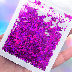 4 Point Star Holo Glitter | Iridescent Confetti Flakes | Holographic Cross Stars | Kawaii Resin Inclusions | Resin Craft Supplies (AB Purple)