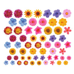 Pressed Flower Clear Film | Floral Resin Inclusions | Embellishments for Resin Crafts