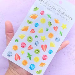 Realistic Fruit and Ice Cube Stickers | Food Sticker for Herbarium | Clear Sticker for Resin Craft | Home Decor
