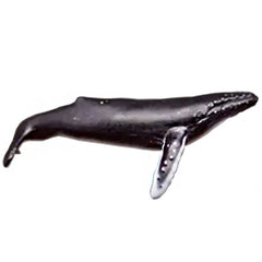 Miniature Humpback Whale Resin Inclusion | Marine Animal Figurine | 3D Resin Ocean World DIY | Resin Art (1 piece / 21mm x 34mm)