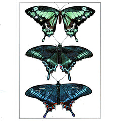 Large Butterfly Clear Film Sheet | Insect Embellishments for Resin Jewellery DIY | Resin Inclusions