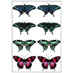 Big Butterfly Clear Film Sheet | Insect Resin Inclusions | Embellishments for Resin Jewelry DIY